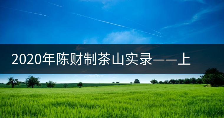 2020年陳財(cái)制茶山實(shí)錄——上貢車(chē)?yán)镄扛哪强? alt=