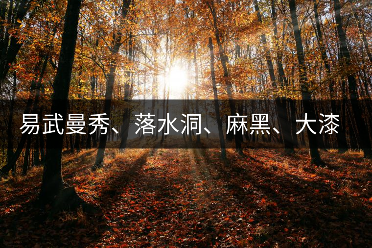 易武曼秀、落水洞、麻黑、大漆樹等你更喜歡哪個茶？