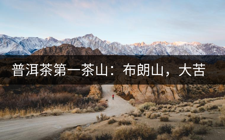 普洱茶第一茶山：布朗山，大苦大甘是它的魂