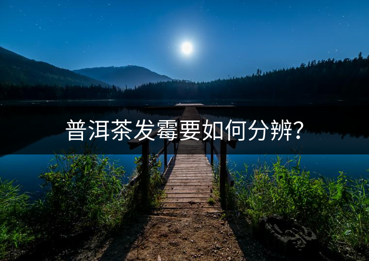 普洱茶發(fā)霉要如何分辨？