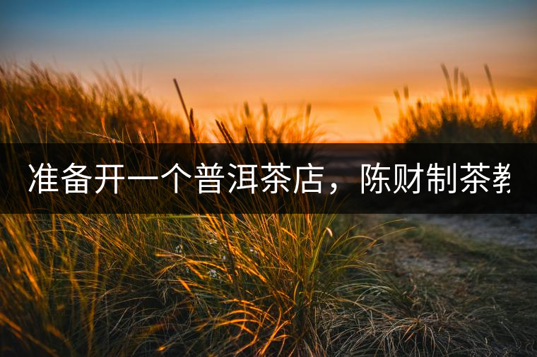 準備開一個普洱茶店，陳財制茶教你怎么做！