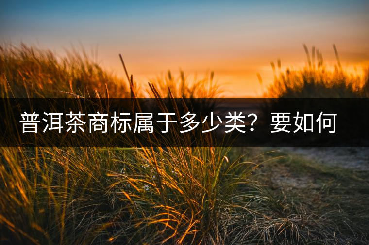 普洱茶商標(biāo)屬于多少類？要如何注冊(cè)