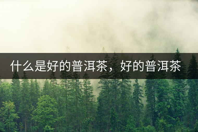 什么是好的普洱茶，好的普洱茶必須要有好的工藝！