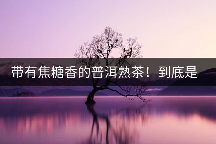 帶有焦糖香的普洱熟茶！到底是好是壞？