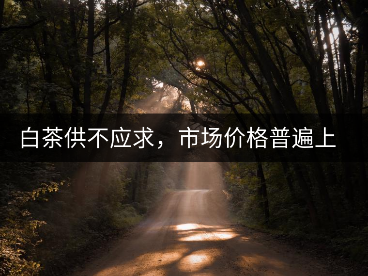 白茶供不應(yīng)求，市場價格普遍上漲？