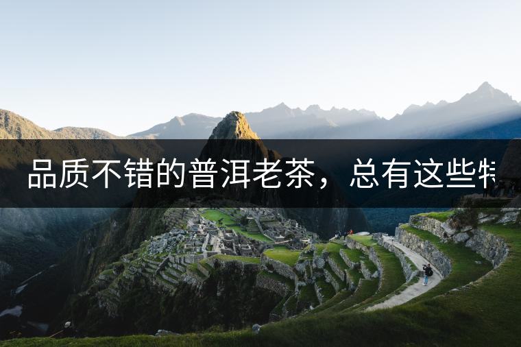 品質(zhì)不錯的普洱老茶，總有這些特點(diǎn)！