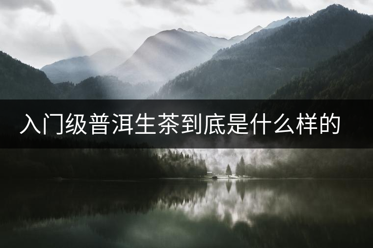 入門級普洱生茶到底是什么樣的口感？