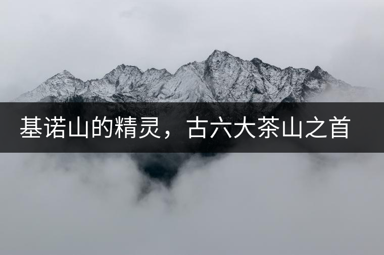 基諾山的精靈，古六大茶山之首武侯遺種攸樂(lè)古樹(shù)茶