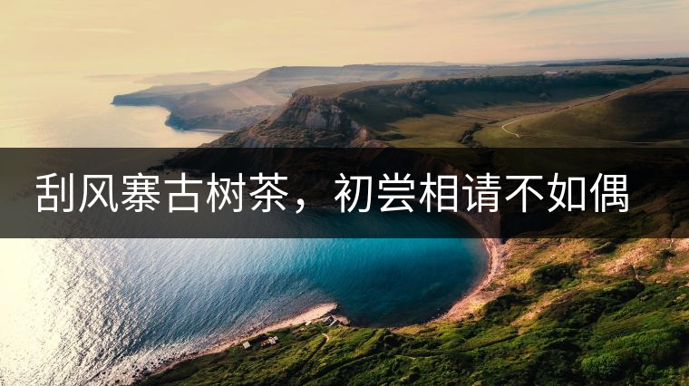 刮風(fēng)寨古樹茶，初嘗相請不如偶遇