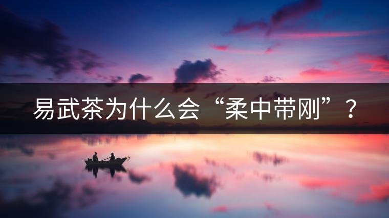 易武茶為什么會(huì)“柔中帶剛”？