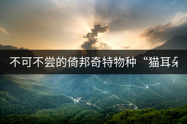 不可不嘗的倚邦奇特物種“貓耳朵”