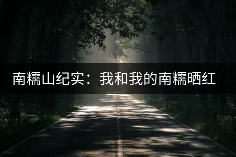 南糯山紀(jì)實：我和我的南糯曬紅茶