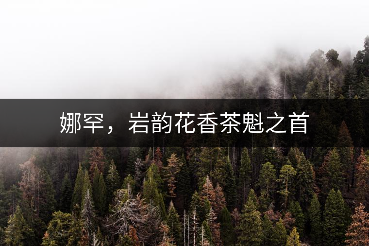 娜罕，巖韻花香茶魁之首