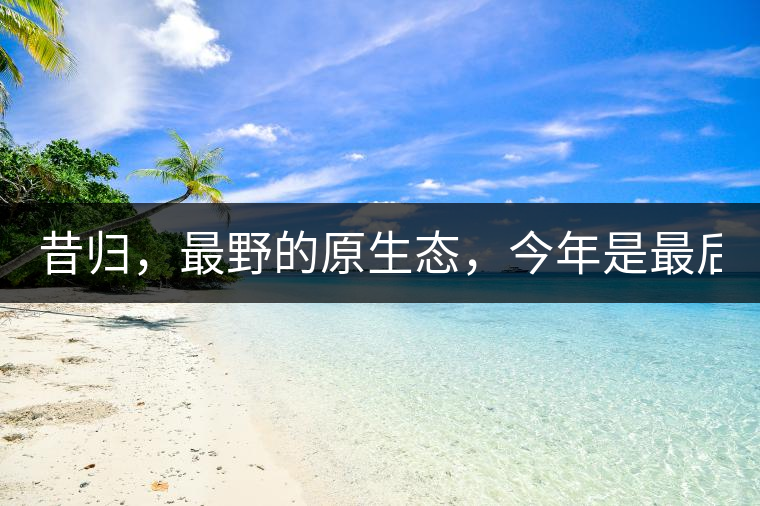 昔歸，最野的原生態(tài)，今年是最后一年了！