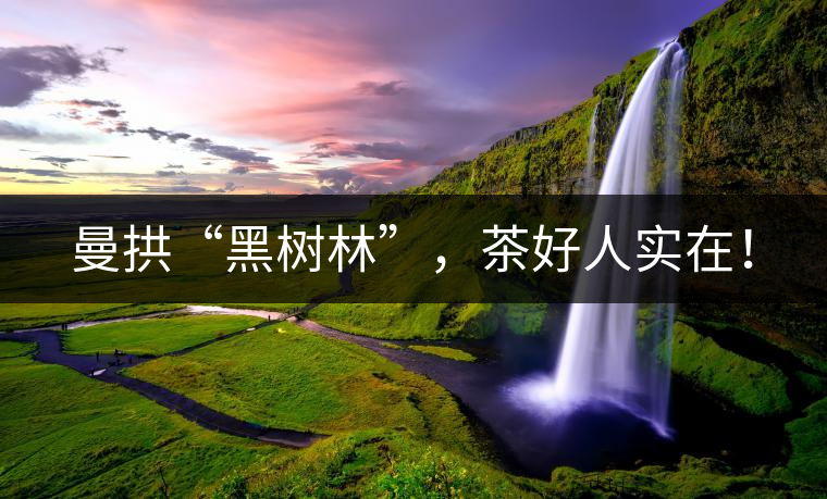 曼拱“黑樹林”，茶好人實(shí)在！