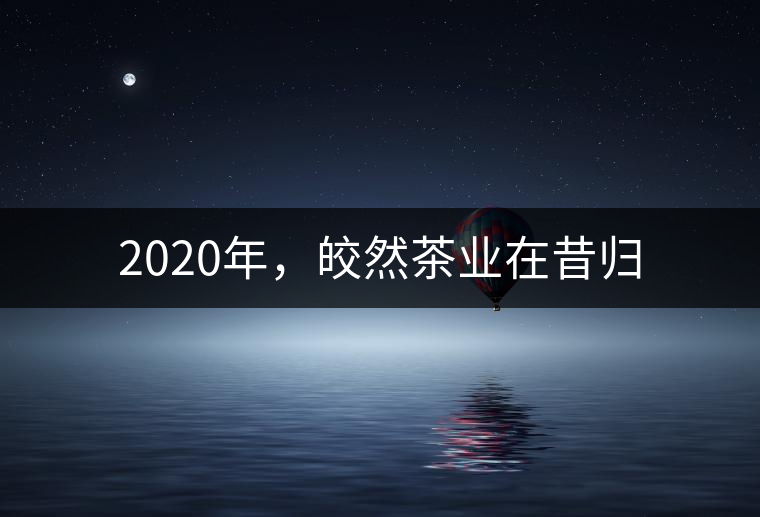 2020年，皎然茶業(yè)在昔歸
