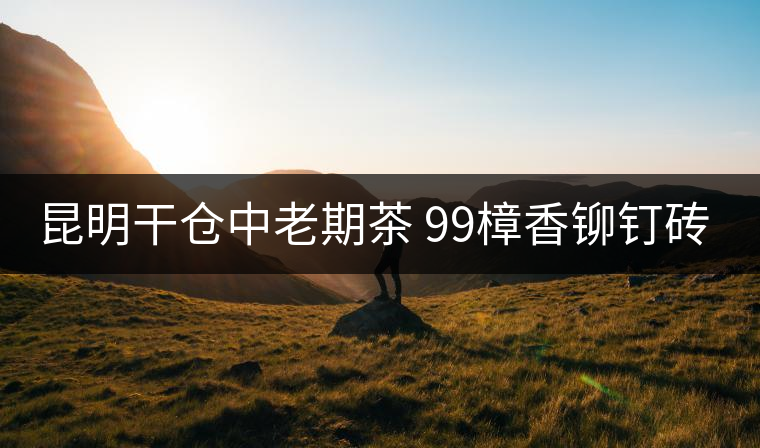 昆明干倉(cāng)中老期茶 99樟香鉚釘磚 致敬時(shí)光的力量 昆明干倉(cāng)中老期茶 99樟香鉚釘磚 致敬時(shí)光的力量