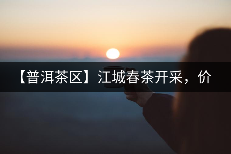 【普洱茶區(qū)】江城春茶開(kāi)采，價(jià)格漲幅小