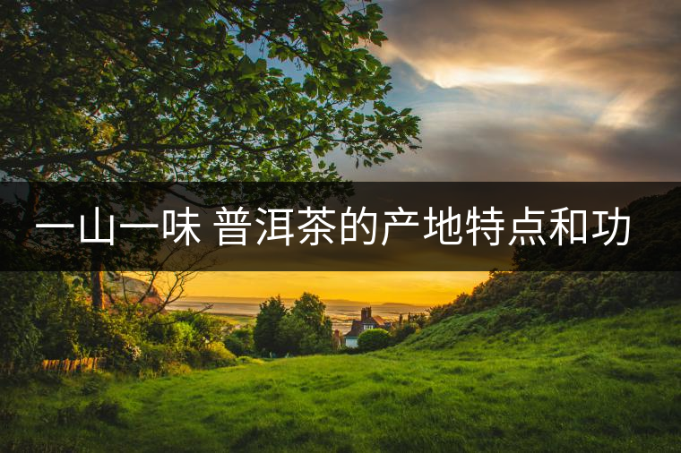 一山一味 普洱茶的產(chǎn)地特點(diǎn)和功效