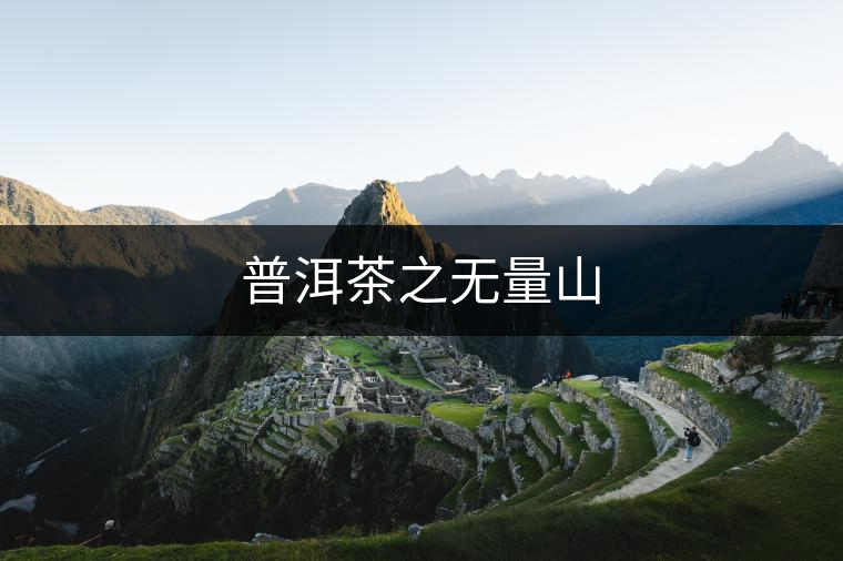 普洱茶之無量山