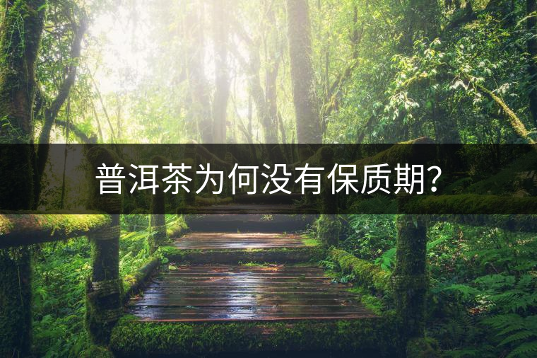 普洱茶為何沒有保質(zhì)期？