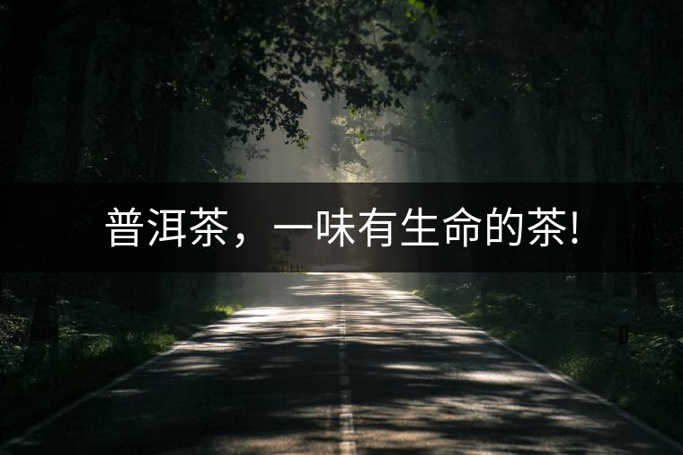 普洱茶，一味有生命的茶!