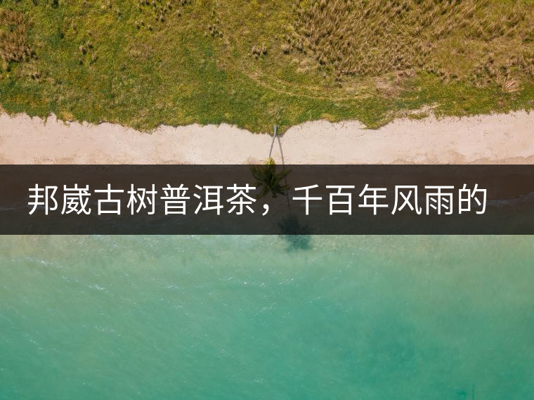 邦崴古樹普洱茶，千百年風(fēng)雨的洗禮