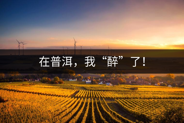 在普洱，我“醉”了！