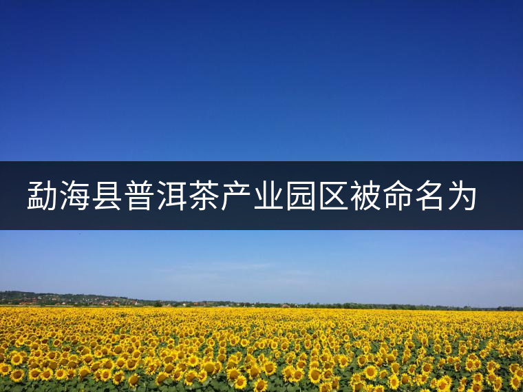 勐?？h普洱茶產(chǎn)業(yè)園區(qū)被命名為 