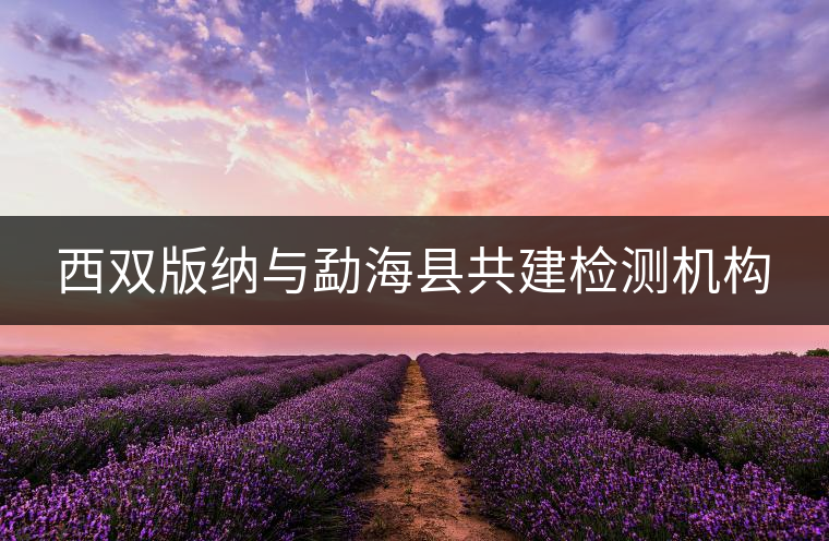 西雙版納與勐海縣共建檢測機(jī)構(gòu)