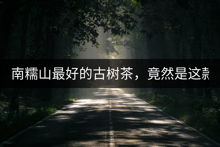 南糯山最好的古樹茶，竟然是這款！