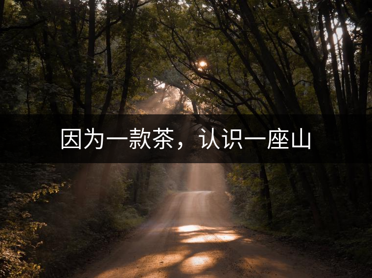 因?yàn)橐豢畈?，認(rèn)識(shí)一座山