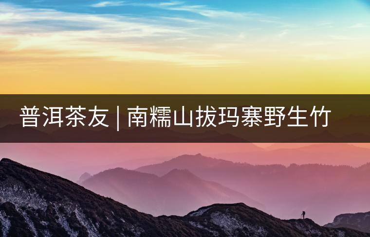普洱茶友 | 南糯山拔瑪寨野生竹蓀給看過？