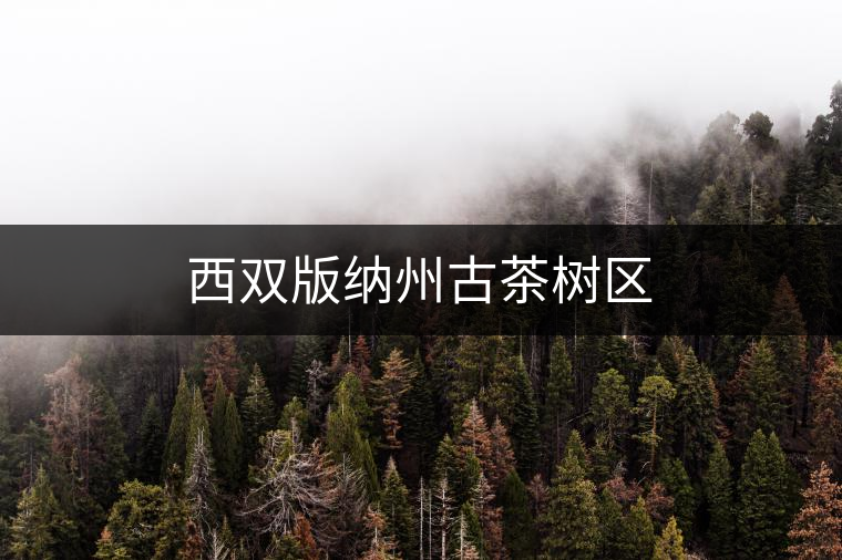 西雙版納州古茶樹區(qū)