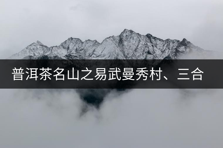 普洱茶名山之易武曼秀村、三合社村