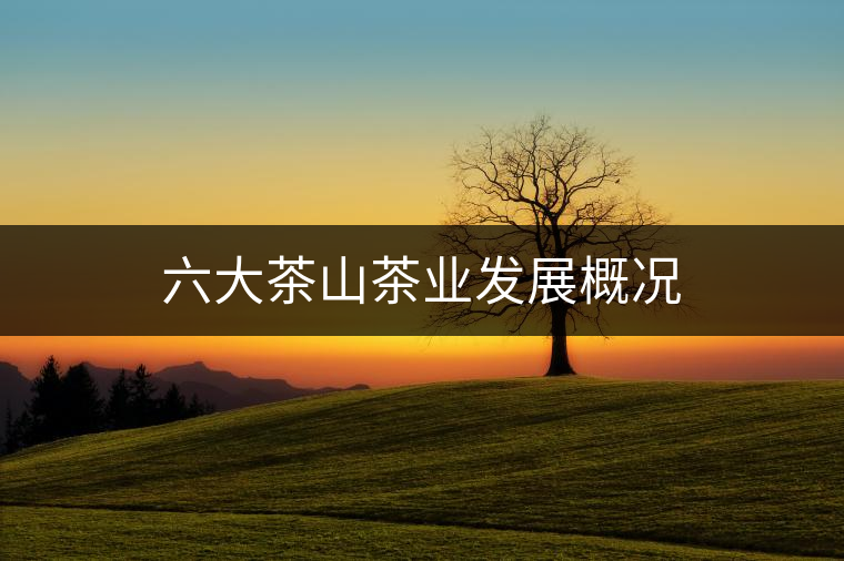 六大茶山茶業(yè)發(fā)展概況
