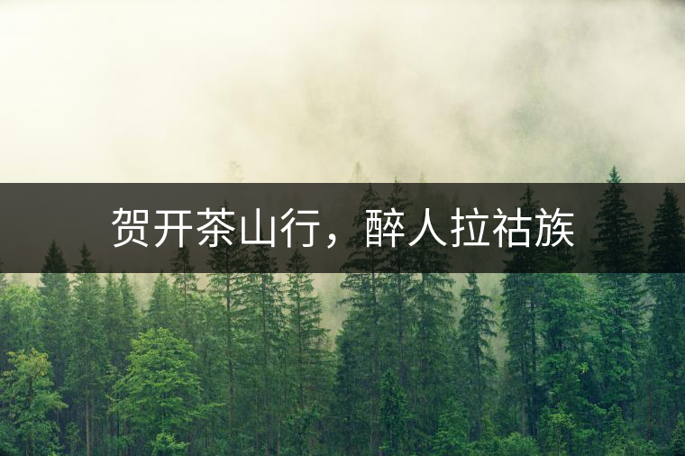 賀開茶山行，醉人拉祜族