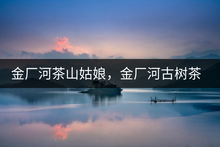 金廠河茶山姑娘，金廠河古樹(shù)茶特點(diǎn)與價(jià)格