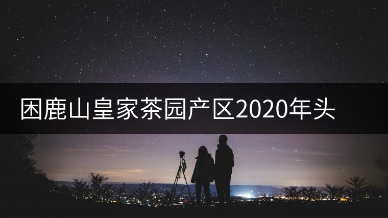 困鹿山皇家茶園產(chǎn)區(qū)2020年頭春古樹，白花林口感特點
