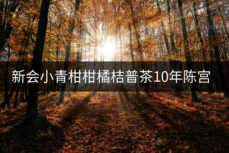 新會小青柑柑橘桔普茶10年陳宮廷陳皮普洱茶熟茶禮盒裝 皇譽茶葉