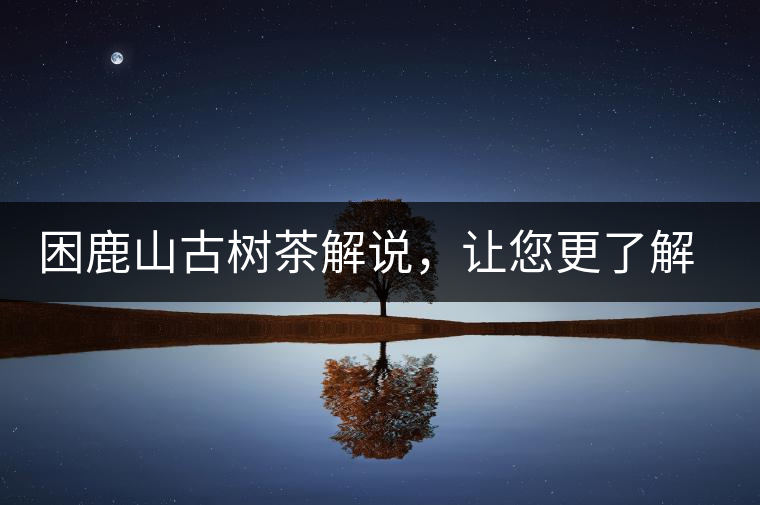 困鹿山古樹茶解說，讓您更了解古樹貢茶