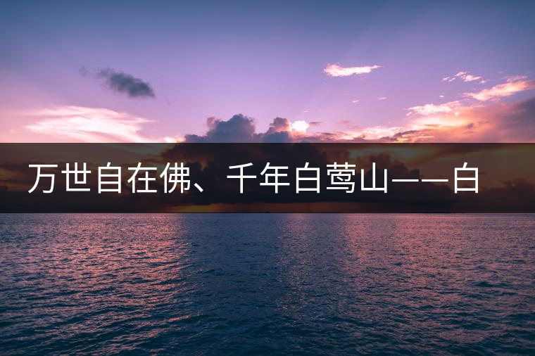 萬世自在佛、千年白鶯山——白鶯山古樹茶特點