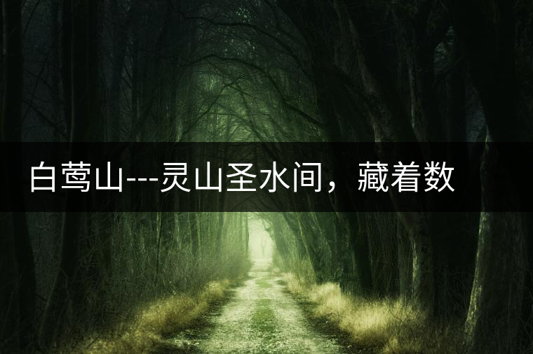 白鶯山---靈山圣水間，藏著數(shù)不盡的佛茶佳話