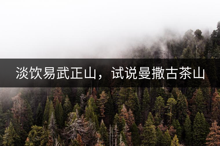 淡飲易武正山，試說曼撒古茶山