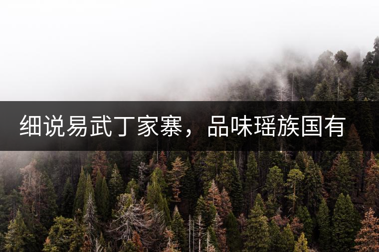 細(xì)說易武丁家寨，品味瑤族國有林古樹普洱茶