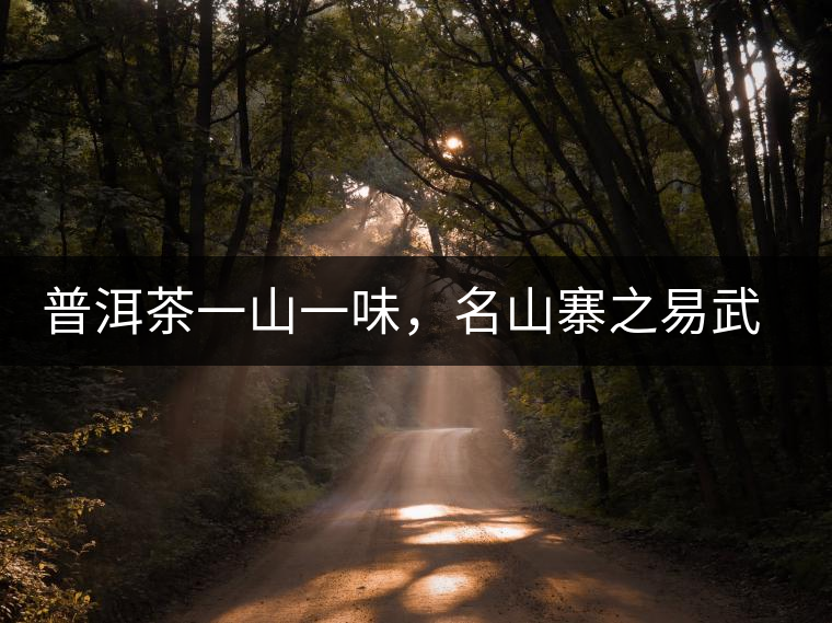 普洱茶一山一味，名山寨之易武彎弓瑤族丁家寨