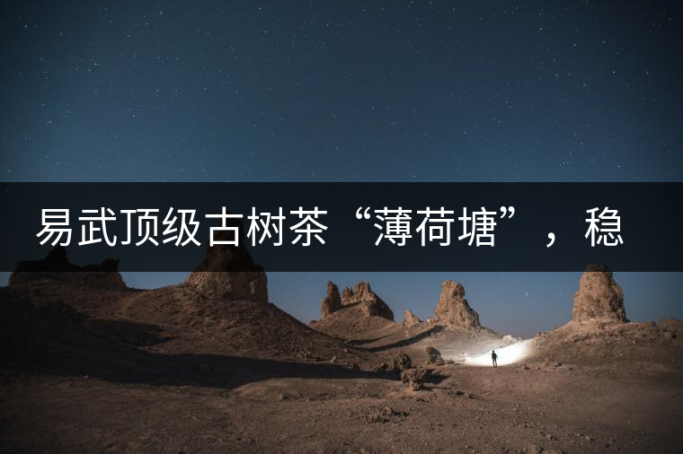 易武頂級古樹茶“薄荷塘”，穩(wěn)坐易武第一把交椅