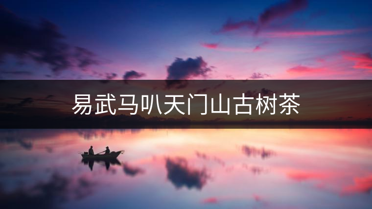 易武馬叭天門山古樹(shù)茶