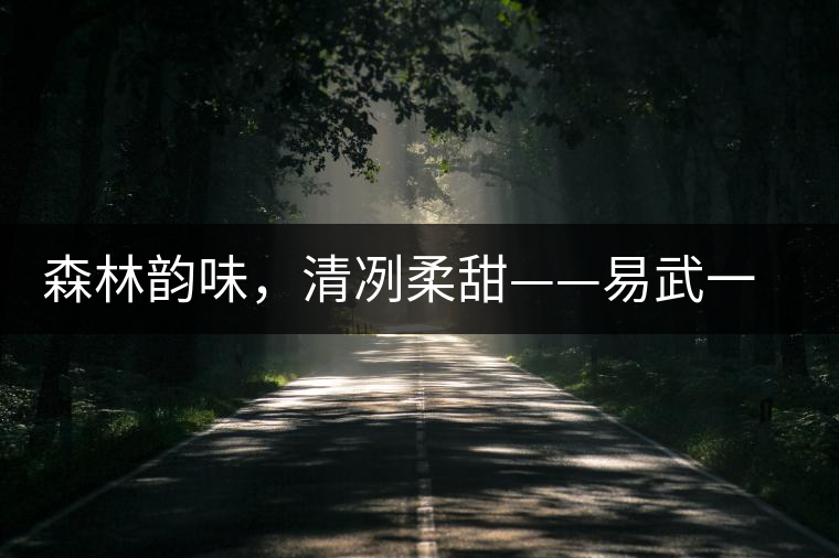 森林韻味，清冽柔甜——易武一扇磨古樹茶特點(diǎn)