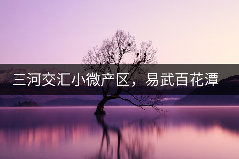 三河交匯小微產區(qū)，易武百花潭古茶園介紹